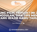 Bingung Pilih Triplek Ini Jenis, Keunggulan, dan Tips Memilih yang Wajib Kamu Tahu!